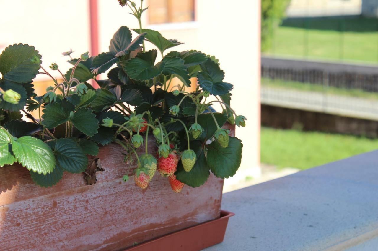 Due Lune B&B Almenno San Salvatore Exterior photo